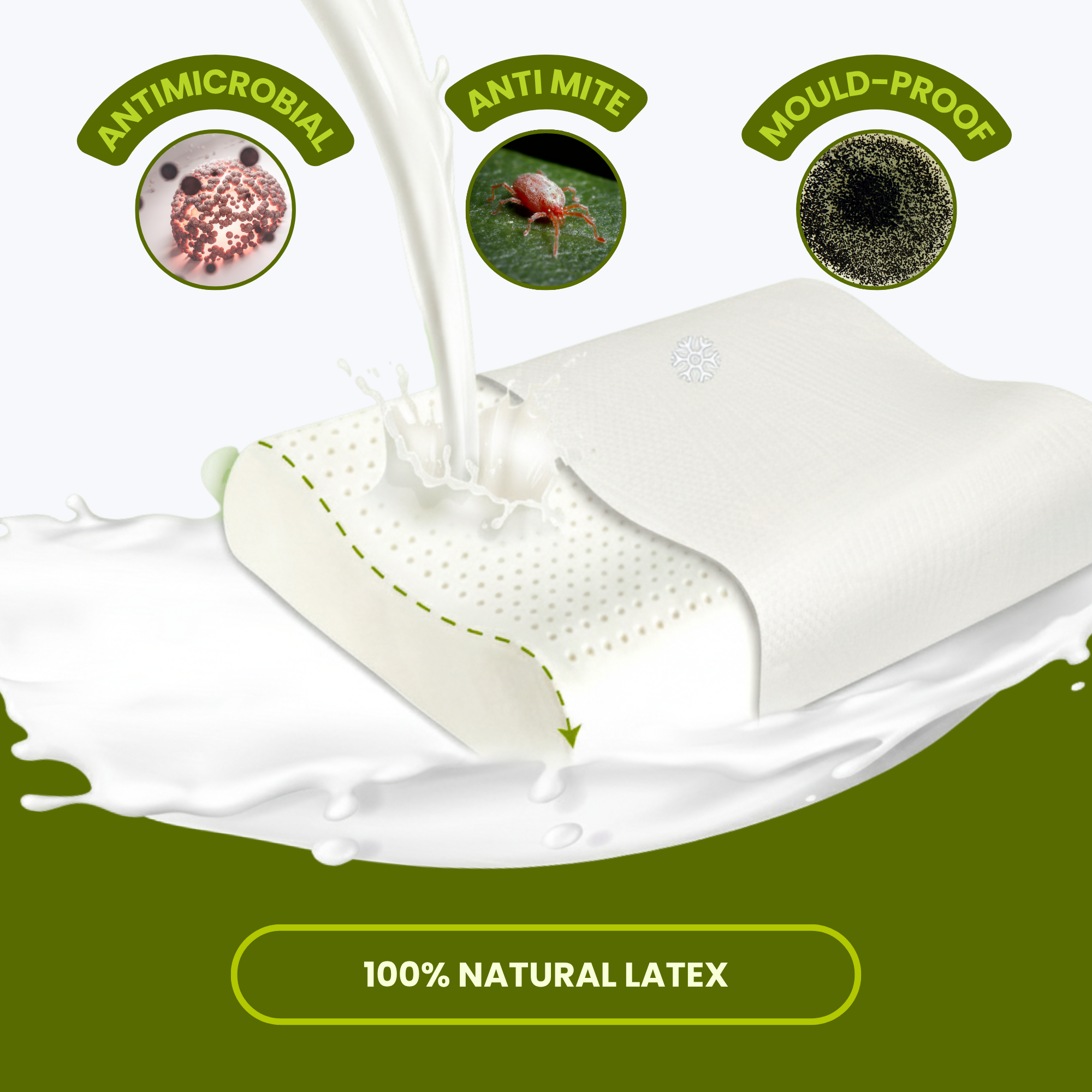 Contour Latex Pillow