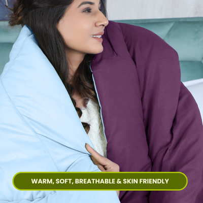 Wine-Sky Blue Duvet Reversable AVI Lifestyles I05