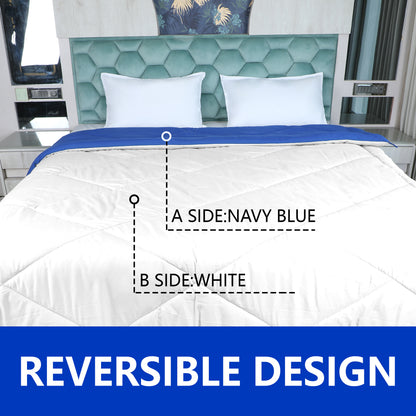 Blue & White Reversable Comforter