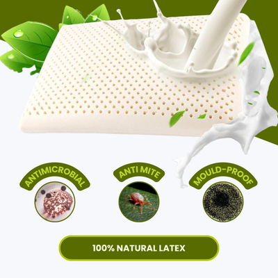 Standard Latex Pillow