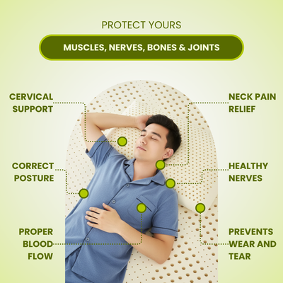 Standard Latex Pillow