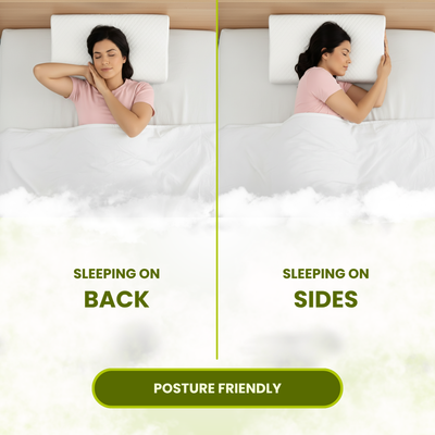 Standard Latex Pillow